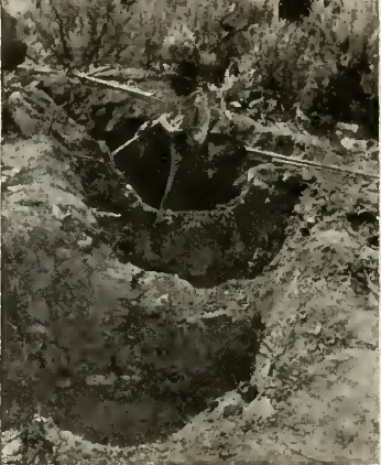 pit-House after excavation
