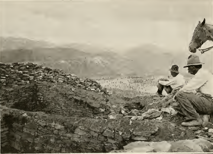 Upper Piedra Valley