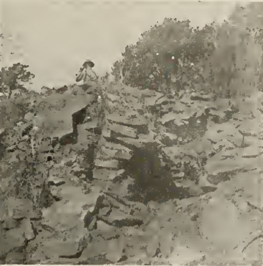 house mound on mesa
