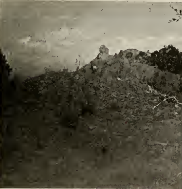 small house mound