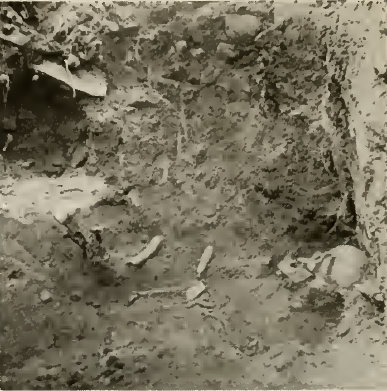 excavation