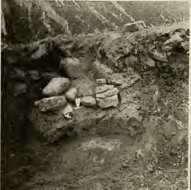 Fireplace in tower.