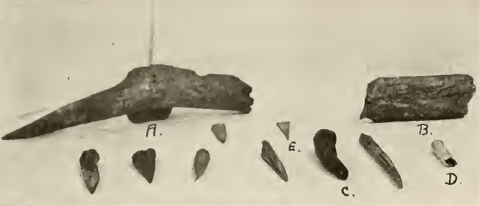 Bone Implements