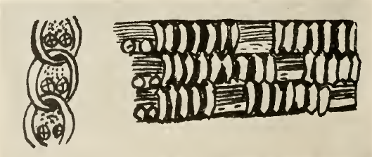 Basket Weave