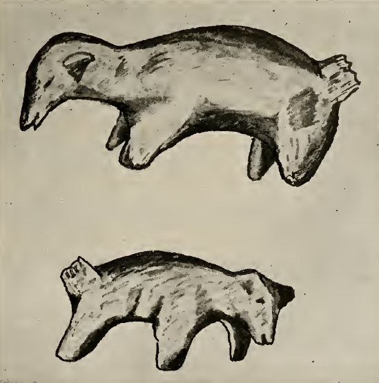 bear fetish
