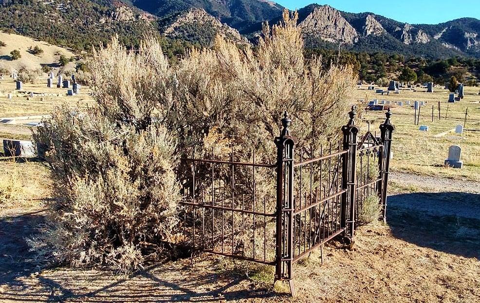 New Castle Colorado family trees