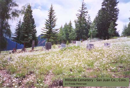 co-sanjuan-hillsidecem1999