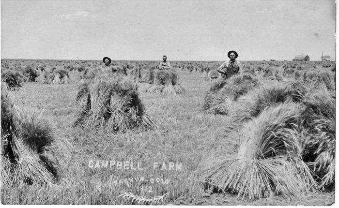 Campbell Farm, Akron, Colo., 1912