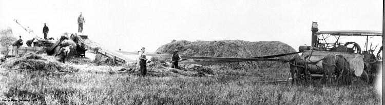 Hesse Threshing Crew